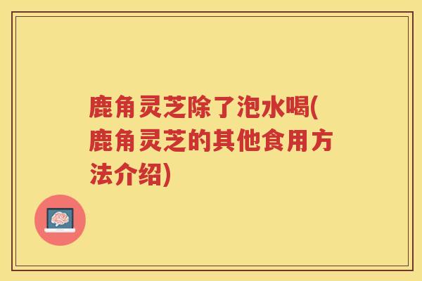 鹿角灵芝除了泡水喝(鹿角灵芝的其他食用方法介绍)