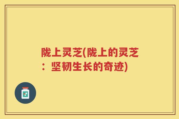 陇上灵芝(陇上的灵芝：坚韧生长的奇迹)