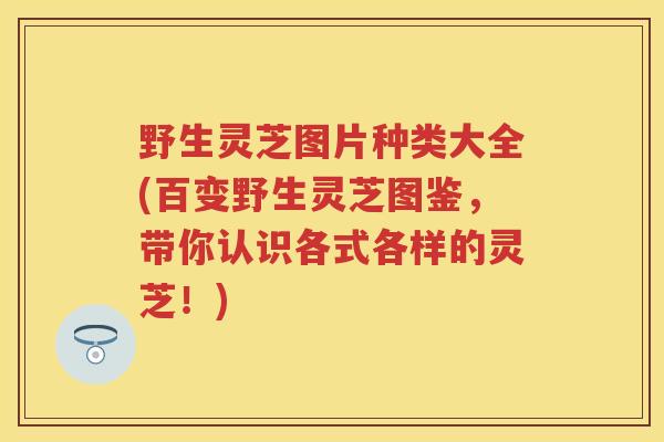 野生灵芝图片种类大全(百变野生灵芝图鉴，带你认识各式各样的灵芝！)