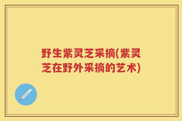 野生紫灵芝采摘(紫灵芝在野外采摘的艺术)