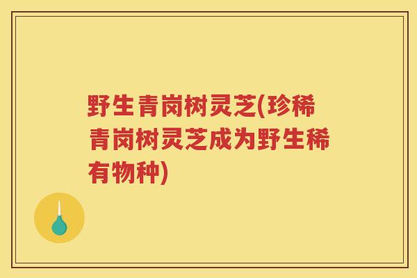 野生青岗树灵芝(珍稀青岗树灵芝成为野生稀有物种)