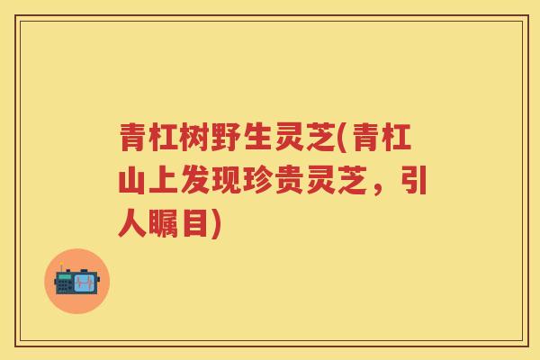 青杠树野生灵芝(青杠山上发现珍贵灵芝，引人瞩目)