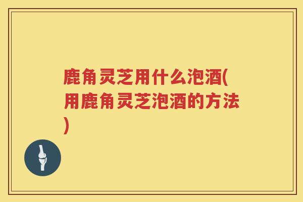 鹿角灵芝用什么泡酒(用鹿角灵芝泡酒的方法)