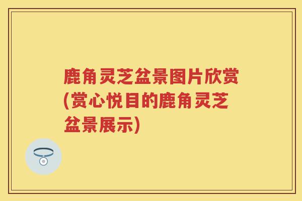 鹿角灵芝盆景图片欣赏(赏心悦目的鹿角灵芝盆景展示)