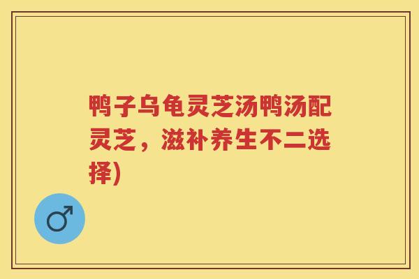 鸭子乌龟灵芝汤鸭汤配灵芝，滋补养生不二选择)