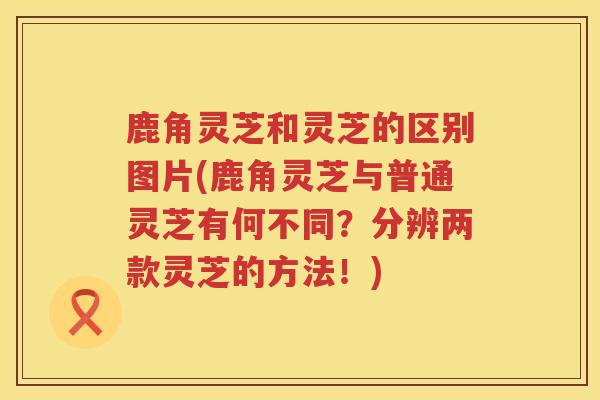 鹿角灵芝和灵芝的区别图片(鹿角灵芝与普通灵芝有何不同？分辨两款灵芝的方法！)
