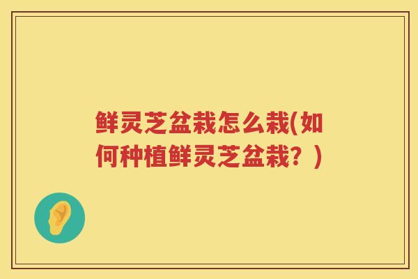 鲜灵芝盆栽怎么栽(如何种植鲜灵芝盆栽？)