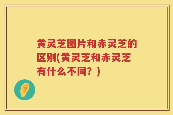 黄灵芝图片和赤灵芝的区别(黄灵芝和赤灵芝有什么不同？)
