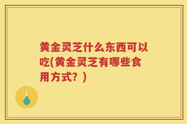 黄金灵芝什么东西可以吃(黄金灵芝有哪些食用方式？)