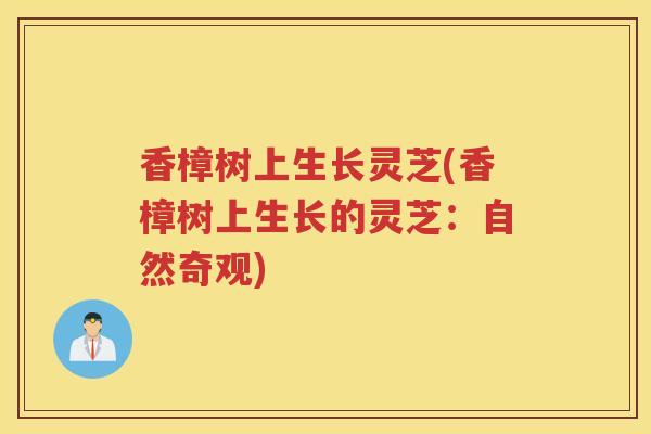 香樟树上生长灵芝(香樟树上生长的灵芝：自然奇观)