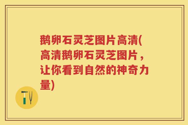 鹅卵石灵芝图片高清(高清鹅卵石灵芝图片，让你看到自然的神奇力量)
