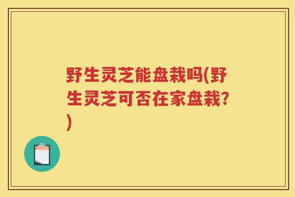 野生灵芝能盘栽吗(野生灵芝可否在家盘栽？)