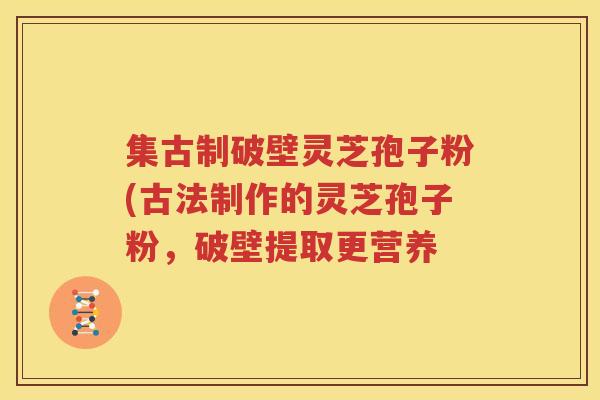 集古制破壁灵芝孢子粉(古法制作的灵芝孢子粉，破壁提取更营养