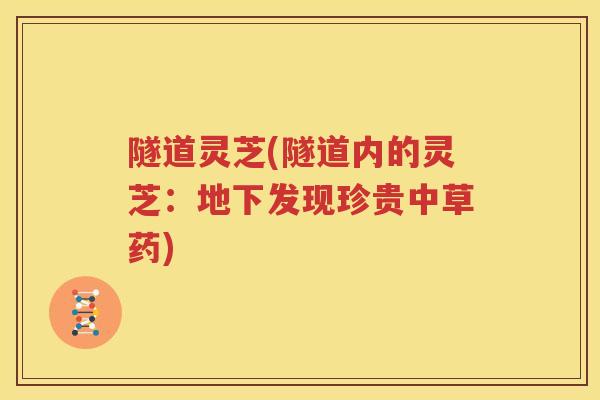 隧道灵芝(隧道内的灵芝：地下发现珍贵中草药)