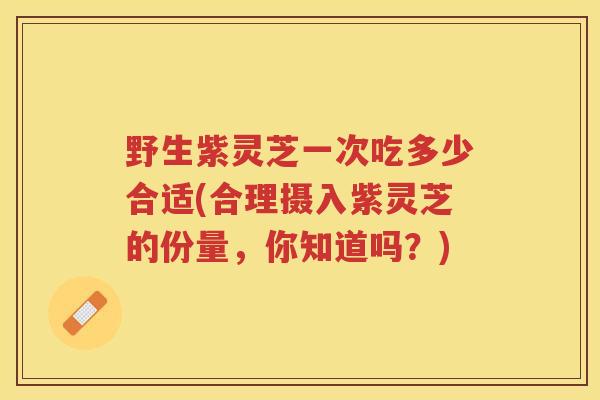 野生紫灵芝一次吃多少合适(合理摄入紫灵芝的份量,你知道吗?) 野生紫灵芝一次吃多少合适(合理摄入紫灵芝的份量,你知道吗?)