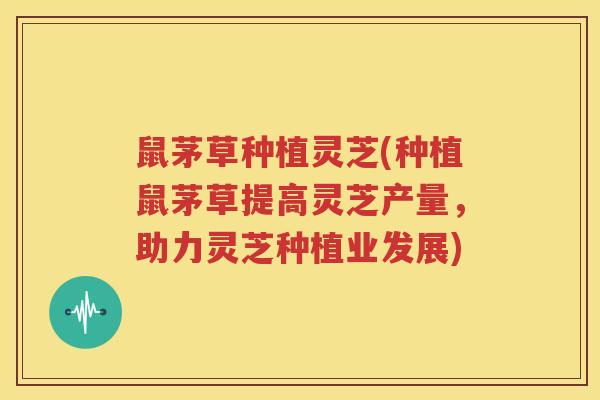 鼠茅草种植灵芝(种植鼠茅草提高灵芝产量，助力灵芝种植业发展)