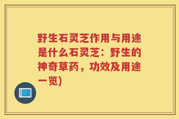 野生石灵芝作用与用途是什么石灵芝：野生的神奇草药，功效及用途一览)