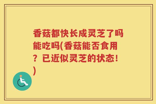香菇都快长成灵芝了吗能吃吗(香菇能否食用？已近似灵芝的状态！)