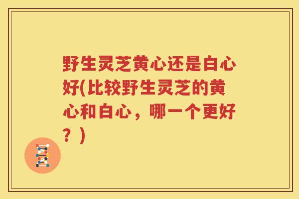 野生灵芝黄心还是白心好(比较野生灵芝的黄心和白心，哪一个更好？)