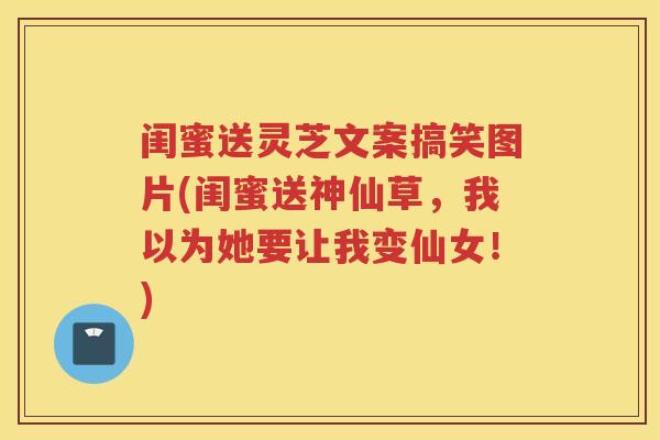 闺蜜送灵芝文案搞笑图片(闺蜜送神仙草,我以为她要让我变仙女!) 闺蜜送灵芝文案搞笑图片(闺蜜送神仙草,我以为她要让我变仙女!)
