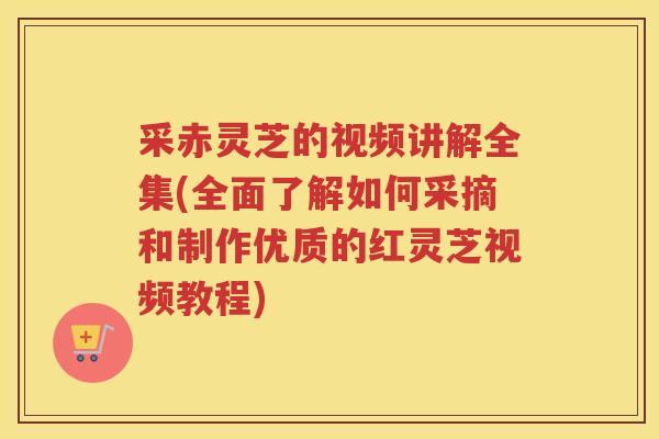 采赤灵芝的视频讲解全集(全面了解如何采摘和制作优质的红灵芝视频教程)