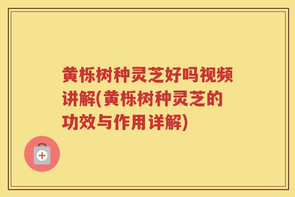 黄栎树种灵芝好吗视频讲解(黄栎树种灵芝的功效与作用详解)