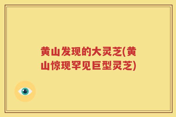 黄山发现的大灵芝(黄山惊现罕见巨型灵芝)