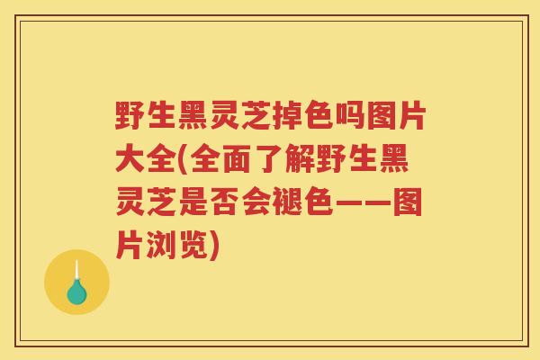 野生黑灵芝掉色吗图片大全(全面了解野生黑灵芝是否会褪色——图片浏览)