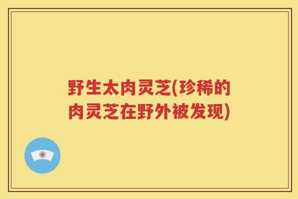 野生太肉灵芝(珍稀的肉灵芝在野外被发现)