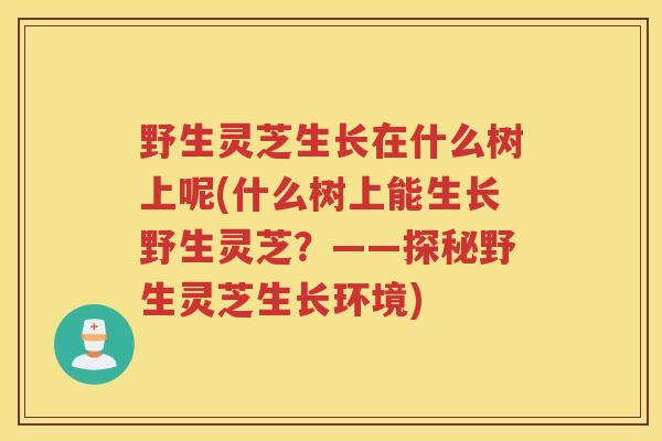 野生灵芝生长在什么树上呢(什么树上能生长野生灵芝？——探秘野生灵芝生长环境)