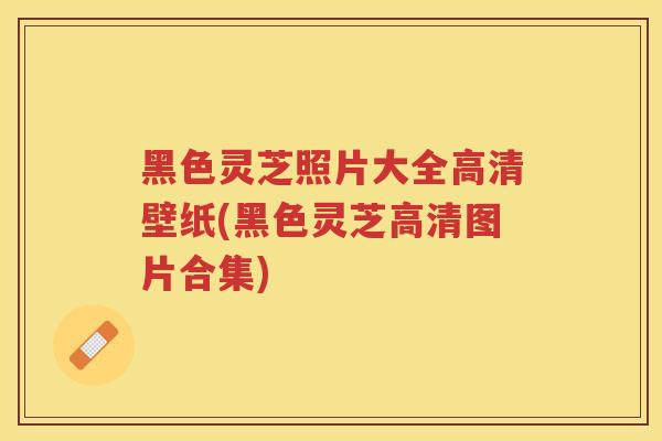 黑色灵芝照片大全高清壁纸(黑色灵芝高清图片合集)