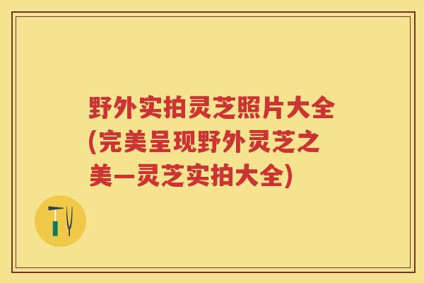 野外实拍灵芝照片大全(完美呈现野外灵芝之美—灵芝实拍大全)