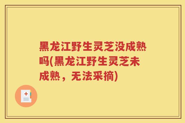 黑龙江野生灵芝没成熟吗(黑龙江野生灵芝未成熟，无法采摘)