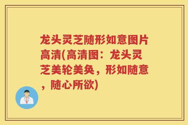 龙头灵芝随形如意图片高清(高清图：龙头灵芝美轮美奂，形如随意，随心所欲)