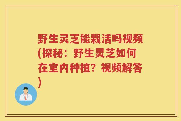 野生灵芝能栽活吗视频(探秘：野生灵芝如何在室内种植？视频解答)