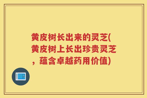 黄皮树长出来的灵芝(黄皮树上长出珍贵灵芝，蕴含卓越药用价值)