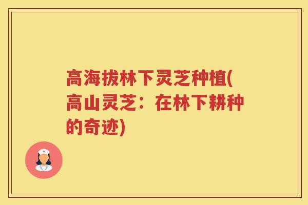 高海拔林下灵芝种植(高山灵芝：在林下耕种的奇迹)