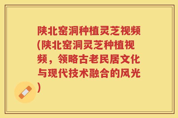 陕北窑洞种植灵芝视频(陕北窑洞灵芝种植视频，领略古老民居文化与现代技术融合的风光)