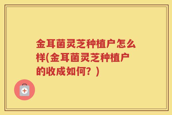 金耳菌灵芝种植户怎么样(金耳菌灵芝种植户的收成如何？)