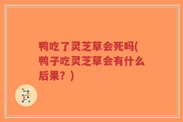 鸭吃了灵芝草会死吗(鸭子吃灵芝草会有什么后果？)
