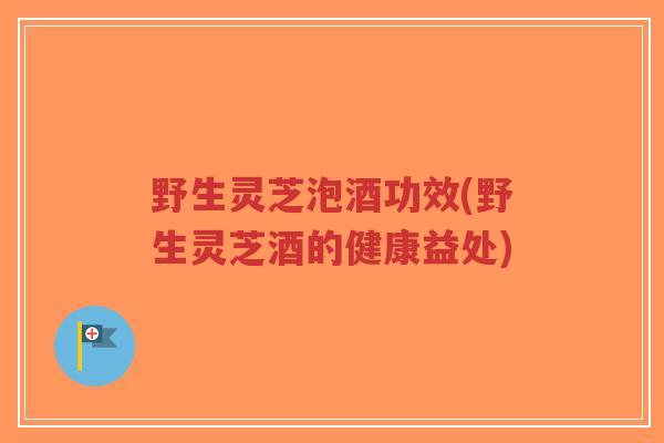 野生灵芝泡酒功效(野生灵芝酒的健康益处) 野生灵芝泡酒功效(野生灵芝酒的健康益处)