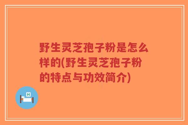 野生灵芝孢子粉是怎么样的(野生灵芝孢子粉的特点与功效简介)