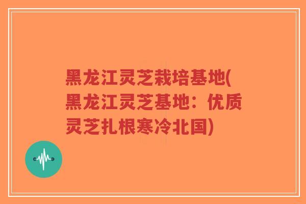 黑龙江灵芝栽培基地(黑龙江灵芝基地：优质灵芝扎根寒冷北国)