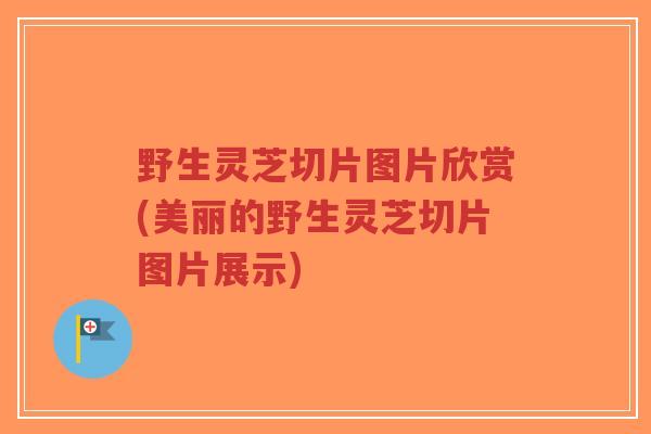 野生灵芝切片图片欣赏(美丽的野生灵芝切片图片展示)
