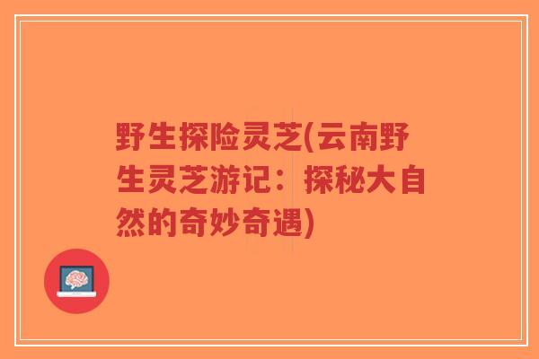 野生探险灵芝(云南野生灵芝游记：探秘大自然的奇妙奇遇)