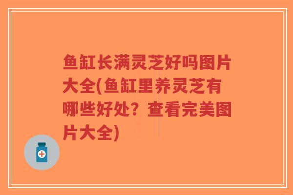 鱼缸长满灵芝好吗图片大全(鱼缸里养灵芝有哪些好处?查看完美图片大全) 鱼缸长满灵芝好吗图片大全(鱼缸里养灵芝有哪些好处?查看完美图片大全)