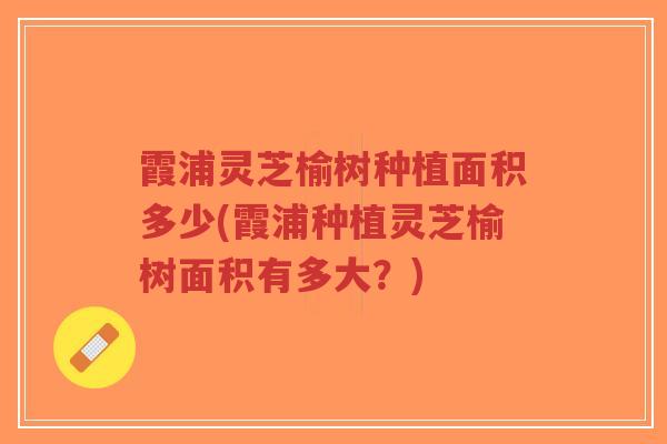 霞浦灵芝榆树种植面积多少(霞浦种植灵芝榆树面积有多大？)
