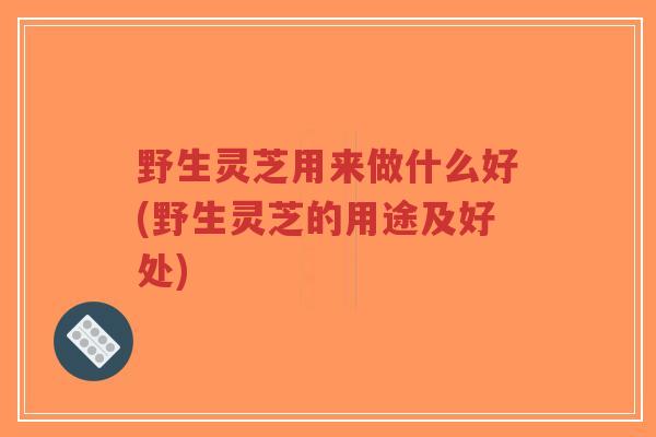 野生灵芝用来做什么好(野生灵芝的用途及好处)