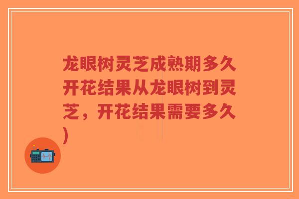 龙眼树灵芝成熟期多久开花结果从龙眼树到灵芝，开花结果需要多久)