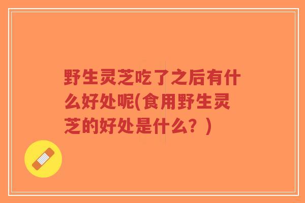 野生灵芝吃了之后有什么好处呢(食用野生灵芝的好处是什么？)
